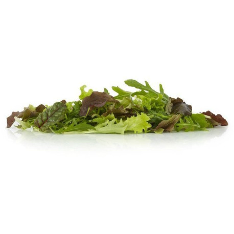 SALADE JEUNE POUSSE ALLGRO 250G